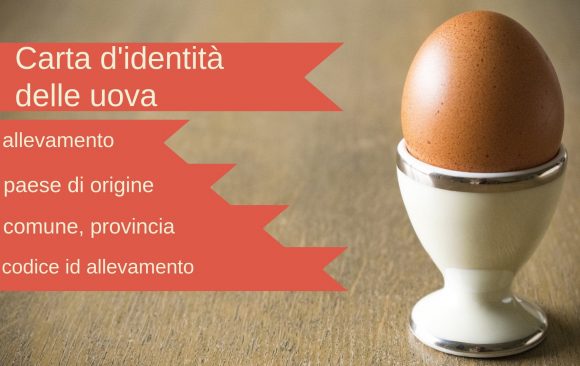 Etichette uova galline: come leggerle, cosa significano