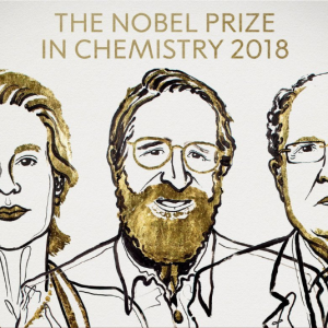 Nobel 2018: premio alla chimica “verde”